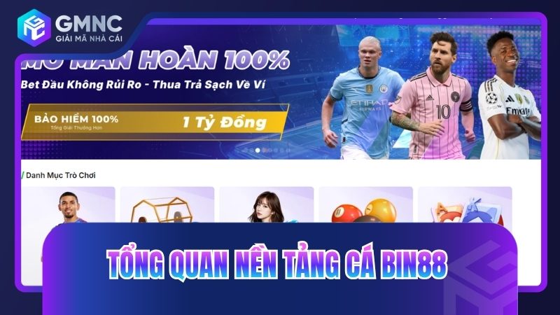 Tổng quan nền tảng cá Bin88